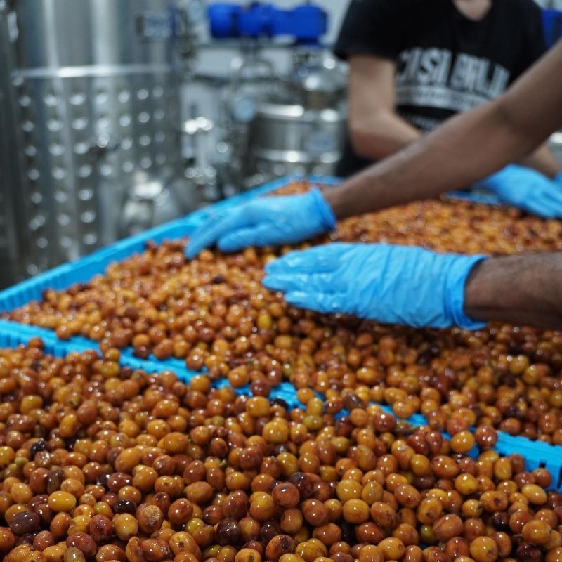 THE RARE BOX SERIES: RETURN OF LOST ORIGIN